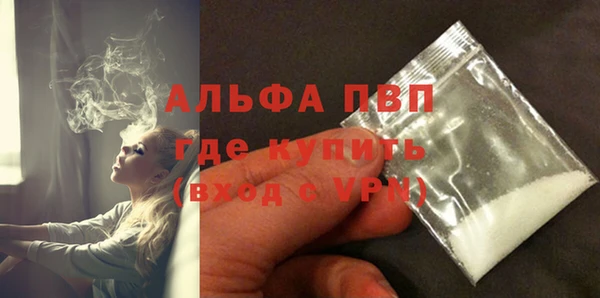 PSILOCYBIN Белокуриха