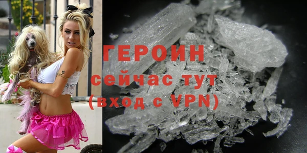 PSILOCYBIN Белокуриха