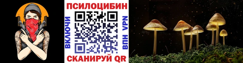 omg Торжок Псилоцибиновые грибы Psilocybe
